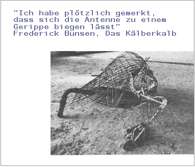 Textfeld: "Ich habe pl�tzlich gemerkt, 
dass sich die Antenne zu einem 
Gerippe biegen l�sst" 
Frederick Bunsen, Das K�lberkalb


 
