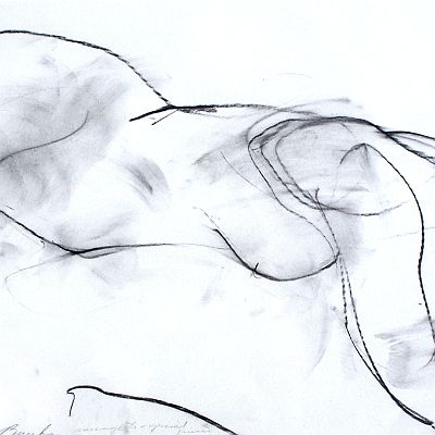 "Figure" 2001  DCF 1.0 : Akt, Figure, Holzkohle, Zeichnung, drawing